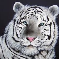 Tiger_blasbr